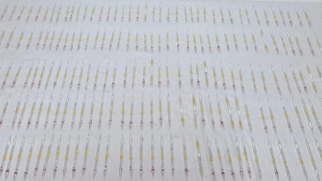 201 tüp kobra yılanı zehri ele geçirildi