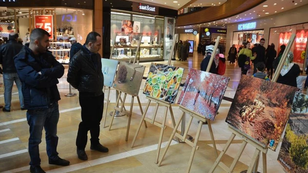 Fotoğrafçıların gözüyle 'Kahramanmaraş'ta son bahar' !