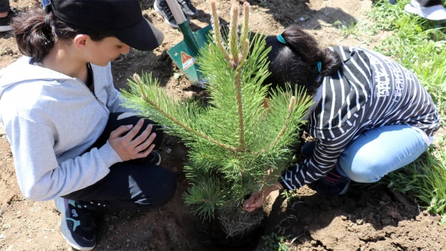 2025-2026 eğitim ve öğretim yılına ilişkin iş ve işlemler konulu genelge, yayımlandı