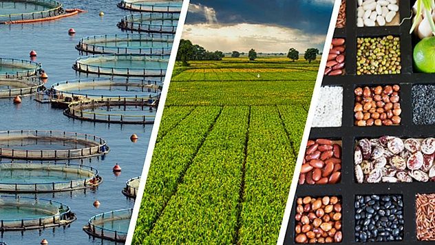 255 milyonluk tarımsal destek çiftçilerin hesaplarına yatırılıyor