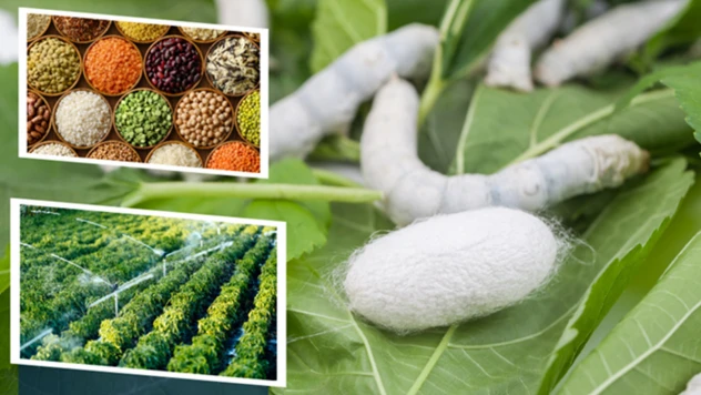 349 milyon TL tarımsal destek çiftçilerin hesaplarında