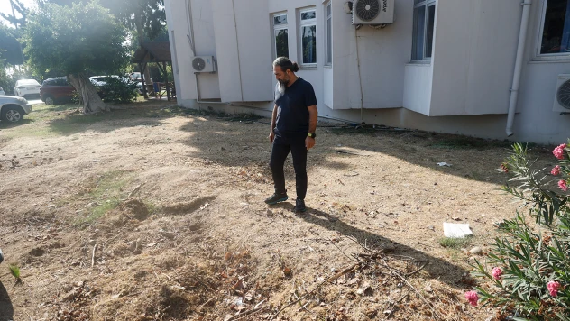 4 yıl önce gömülmüştü, bilimsel çalışma için yeniden çıkarılacak