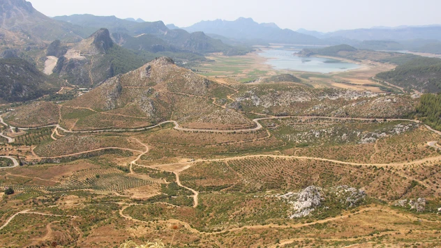 4 yıl önce yanan ormanlık alanlar yeniden yeşeriyor