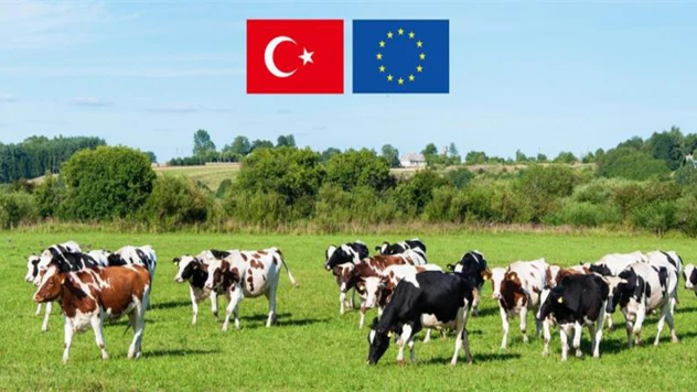 45 projeye 210,6 milyon TL hibe desteği sağlanacak