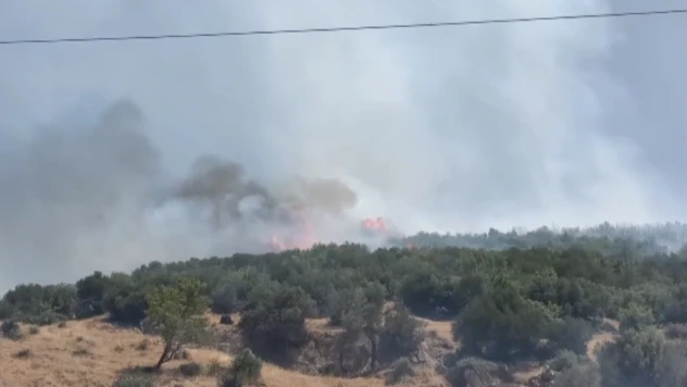 5 hektar alan küle döndü