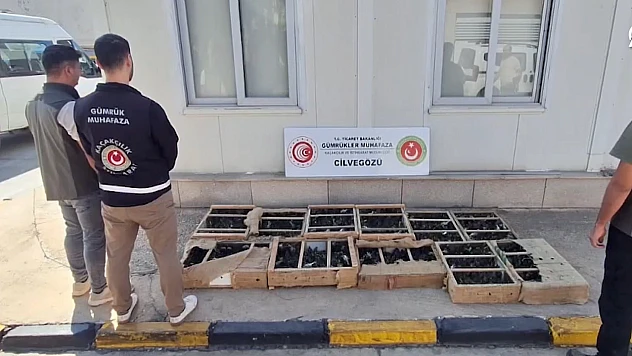 51 operasyonda 32 milyonluk kaçak girişim engellendi