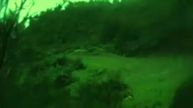 559 düzensiz göçmen yakalandı