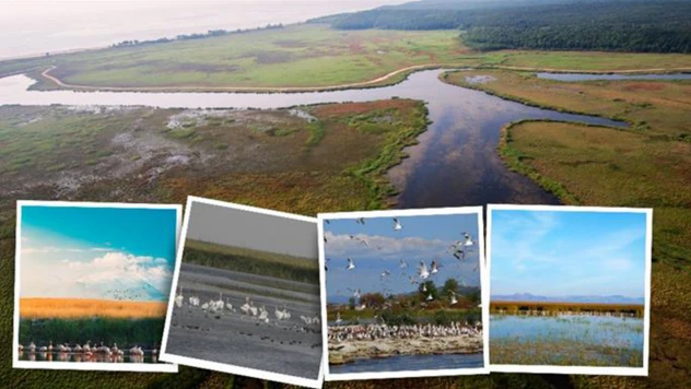 6 bin 418 adet sulak alan SAYBİS ile kayıt altına alındı