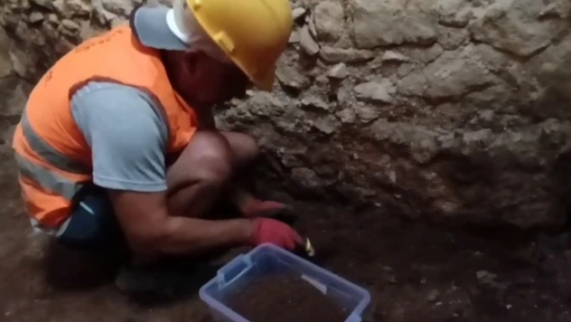 700 yıllık darı tohumları gün yüzüne çıktı