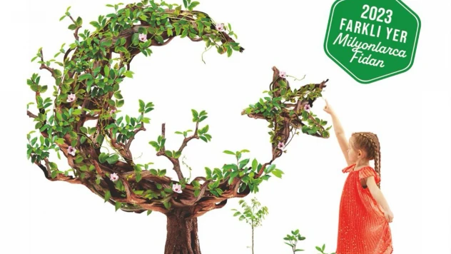 81 ilde Cumhuriyet ormanları kurulacak