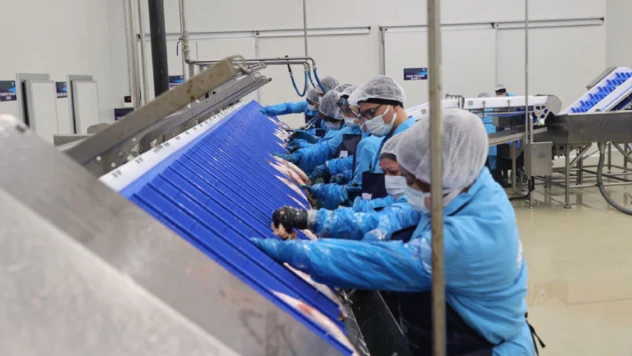 AB destekli su ürünleri işleme, şoklama ve depolama tesisi açıldı