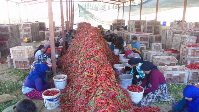 Acı mesaisi başladı