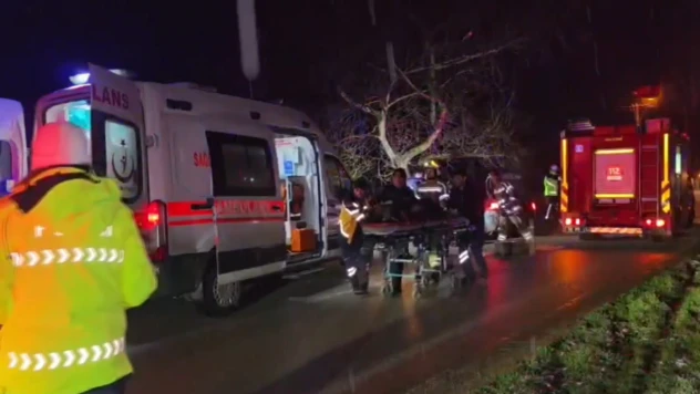 Ağaca çarpan otomobildeki 2 kişi öldü, 2 kişi yaralandı