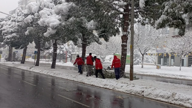 Ağaçların dalları yoğun kar yağışına dayanamadı