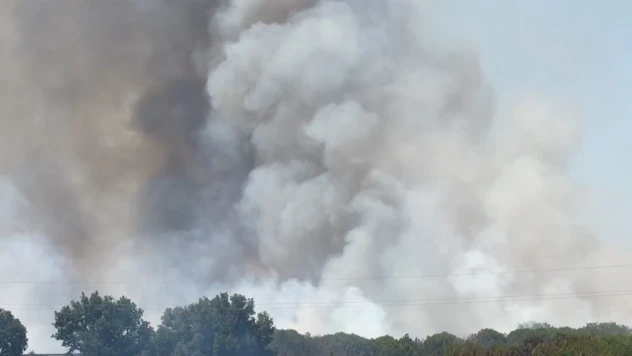 Ağaçlık alanda çıkan yangın nedeniyle Avrupa Otoyolu trafiğe kapatıldı