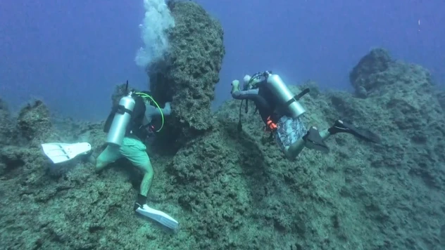 Altın Palet Sualtı Görüntüleme Türkiye Şampiyonası başladı