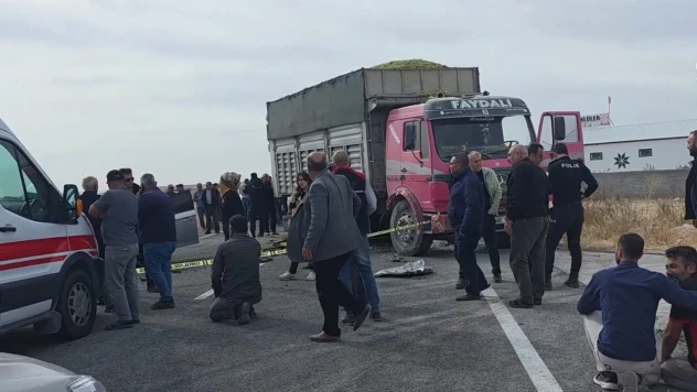 Aynı araçta bulunan 3 kardeş hayatını kaybetti