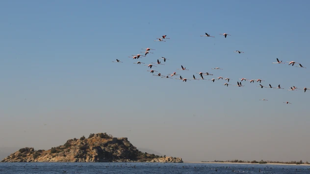 Bafa gölünde tarihi eserlerin tahrip edildiği iddiası