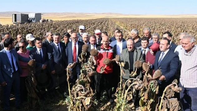 Bakan Kirişci: Alacağımız başka tedbirler de var