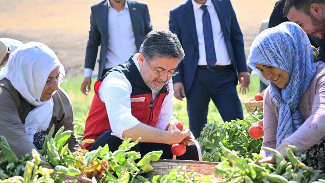 Bakan Yumaklı, Ayaş'ta domates hasadına katıldı