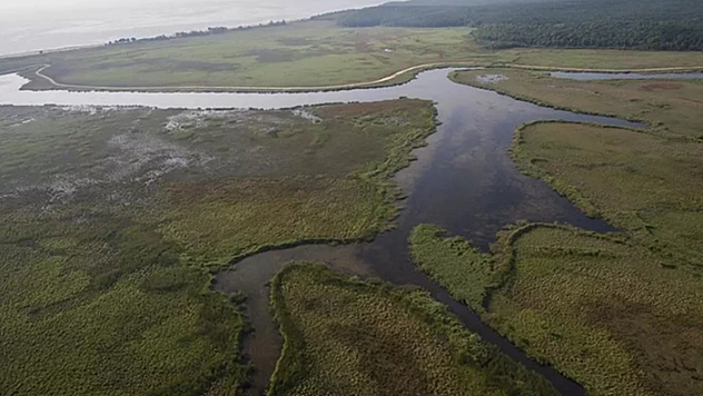 Bakan Yumaklı, 'Sulak alanları korumak, yarınları korumaktır'
