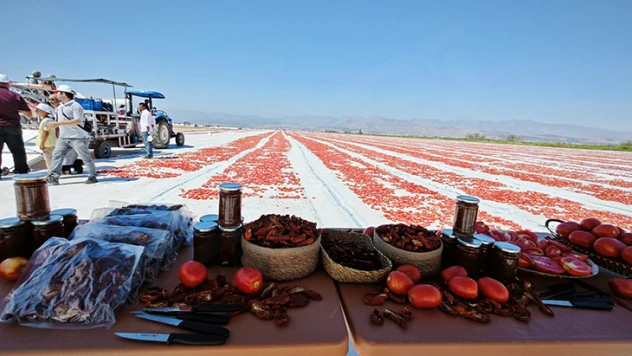 Başkan Okumuş: Türkoğlu'nda yetişiyor, ABD dahil 40 ülkeye ihraç ediliyor