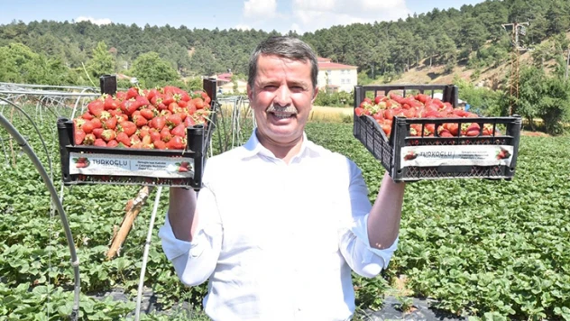 Başkan Okumuş: Türkoğlu tarımı, sağladığı can suyuyla ülke ekonomisine katkı sunuyor