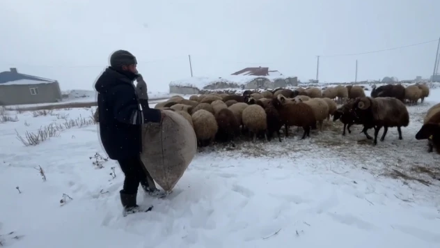 Besicilerin zorlu kış mesaisi başladı