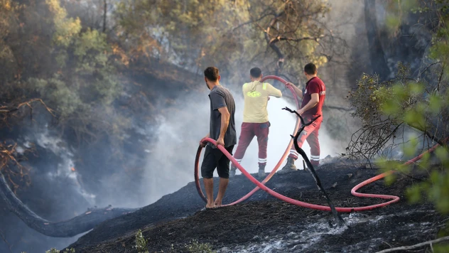 Bilim adamları, Türkiye ve Yunanistan'daki orman yangınlarının nedenini açıkladı