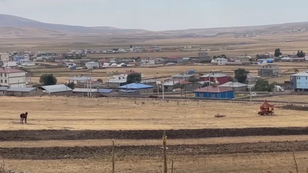 Bir belde kuduz karantinasına alındı