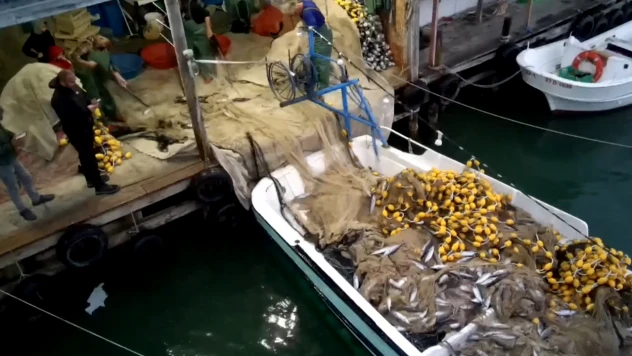 Bir gecede 3 bin 200 palamut avlandı