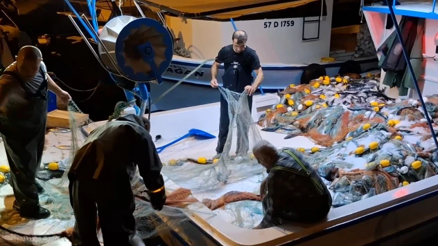 Bir gecede yaklaşık 9 bin palamut avlandı