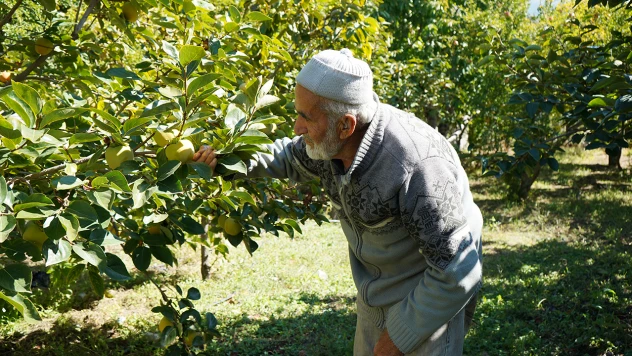 Bu bahçenin tüm ürünleri ücretsiz