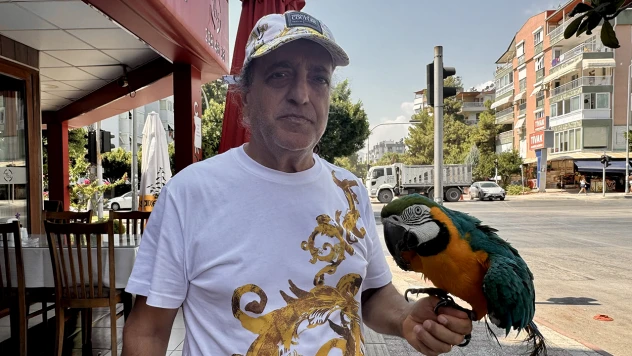Çalındığı öne sürülen papağan bulundu