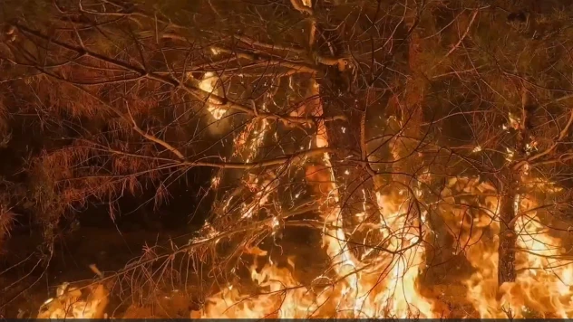 Çanakkale'de orman yangınına müdahale sürüyor