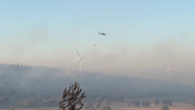 Çanakkale'deki orman yangınında 22 bağımsız bölüm ağır hasar gördü