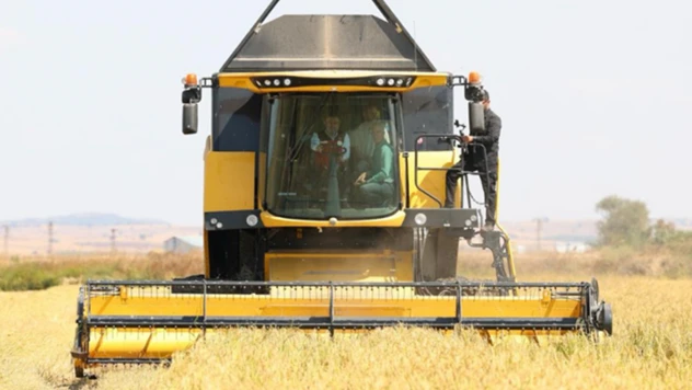 Çeltikte 2025 yılı için 988 bin tonluk bir rekolte bekleniyor