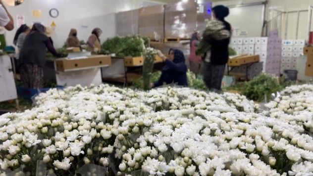 Çiçek ihracatında çeşitlilik arttı