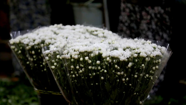 Çiçek mezatlarında Öğretmenler Günü yoğunluğu