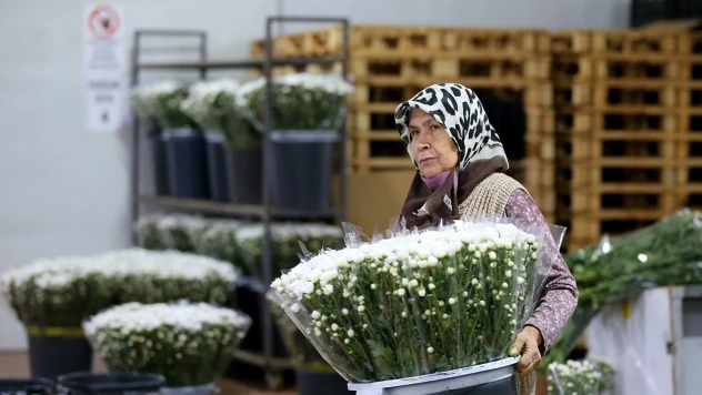 Çiçek sektörü ihracatta rekora koşuyor