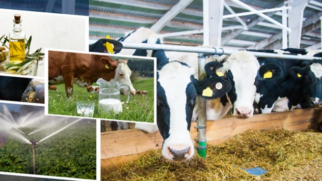 Çiftçilere 2 milyar 5 milyon liralık destekleme ödemesi yapılıyor