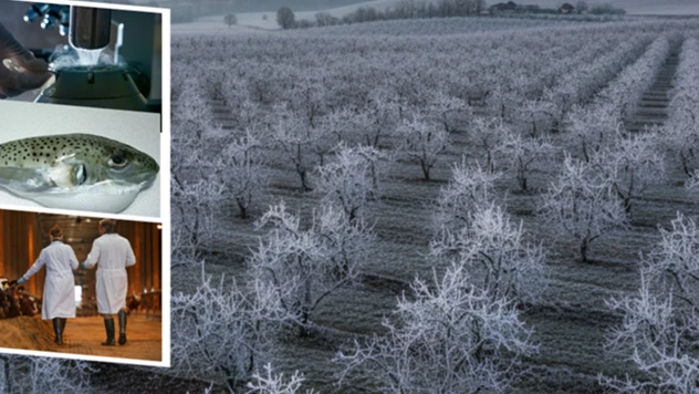 Çiftçilere müjde! Destek ödemeleri hesaplara aktarıldı