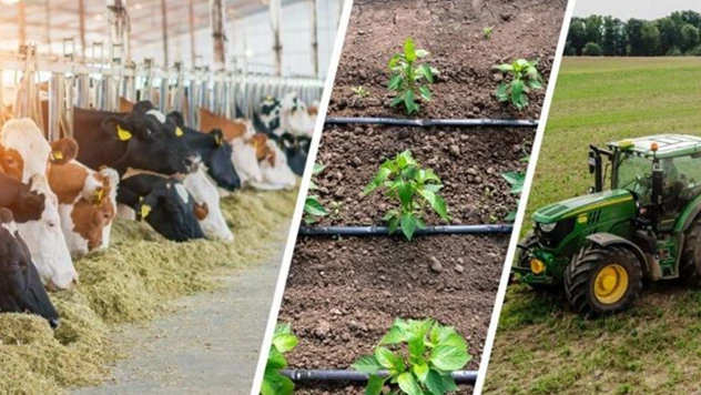 Çiftçilerin beklediği destek ödemeleri hesaplara yattı