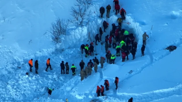 Çığ altında kalan çobanı arama çalışmalarına yeniden başlandı