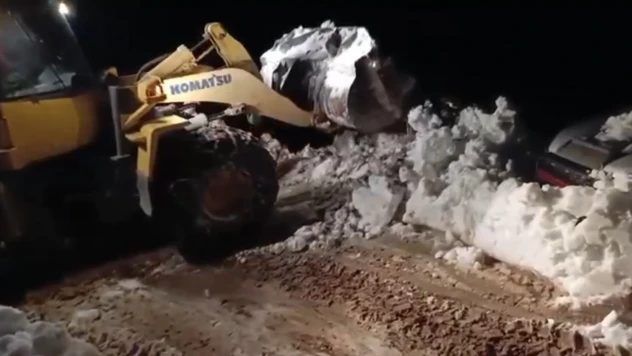 Çığ nedeniyle mahsur kalan 15 kişi ile 8 küçükbaş hayvan kurtarıldı