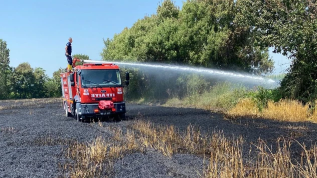 Çıkan yangında 20 dönümlük buğday tarlası zarar gördü