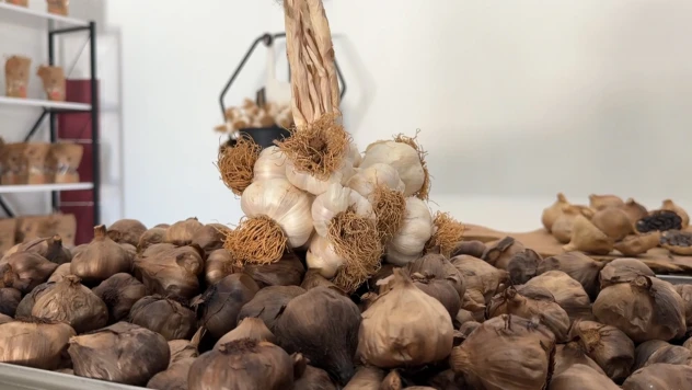 Coğrafi işaretli siyah sarımsak 6 ülkeye ihraç ediliyor