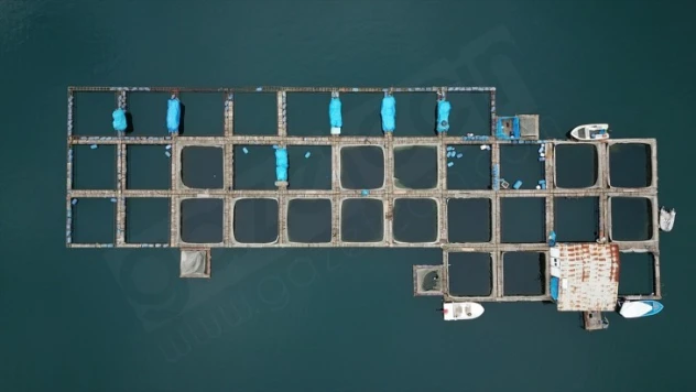 Denizi olmayan kentten 54 ülkeye balık ihracatı