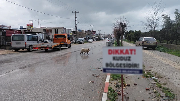 Deprem bölgesinde 4 mahalle karantinaya alındı
