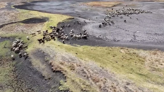 Devegeçidi Baraj Gölü'ndeki kuraklık canlı yaşamını tehdit ediyor